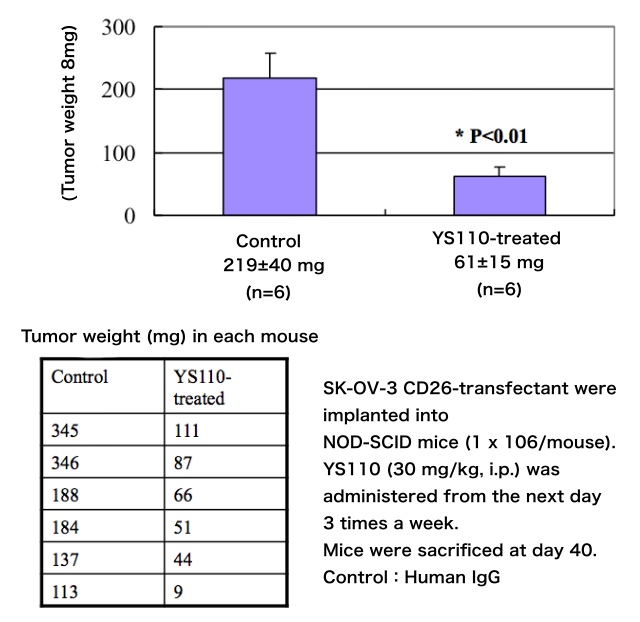 YS110 in pre-
clinical studies - Ovarian cancer