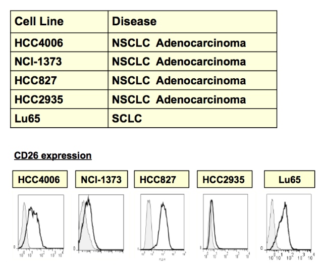 YS110 in pre-clinical studies - Lung cancer