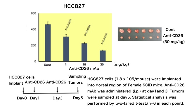 YS110 in pre-
clinical studies - Lung cancer